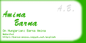 amina barna business card
